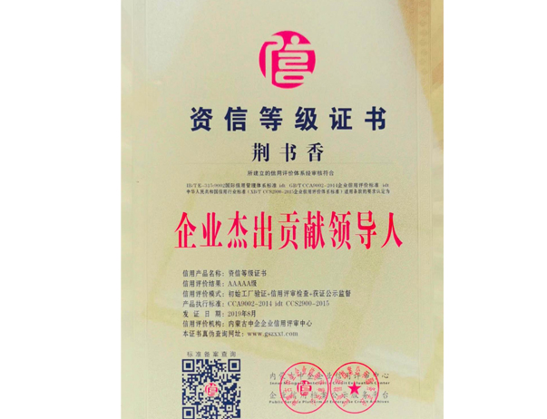 荊書香董事長被評為“企業杰出貢獻領導人”